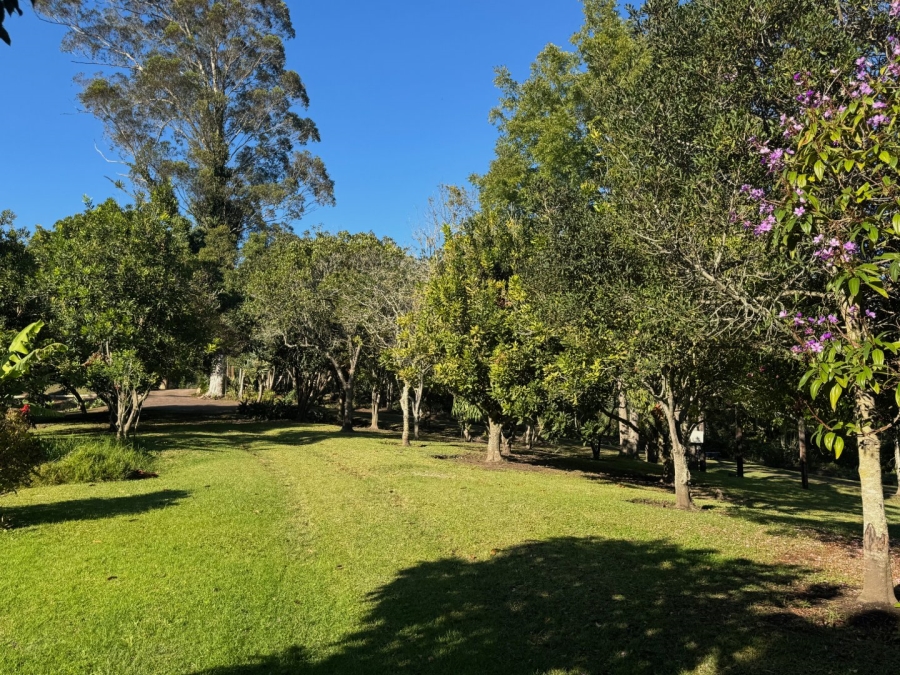 Commercial Property for Sale in Harkerville A H Western Cape